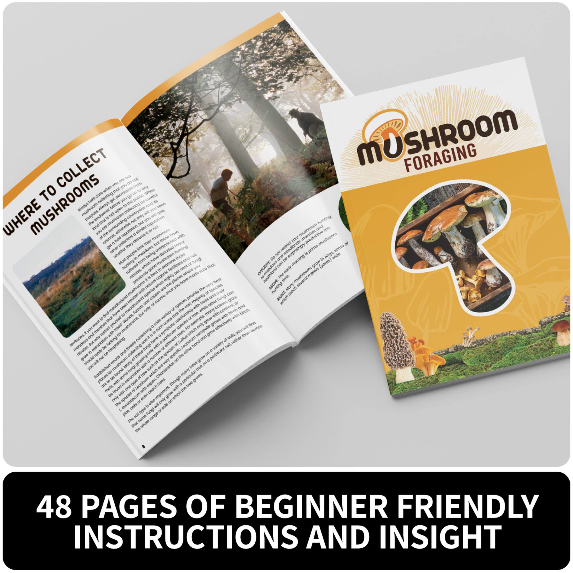 SpiceBox Mushroom Foraging Gift Box Kit